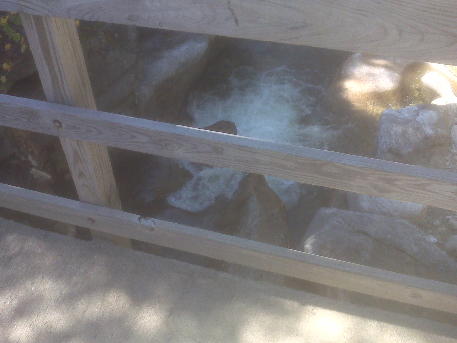 picture 17.